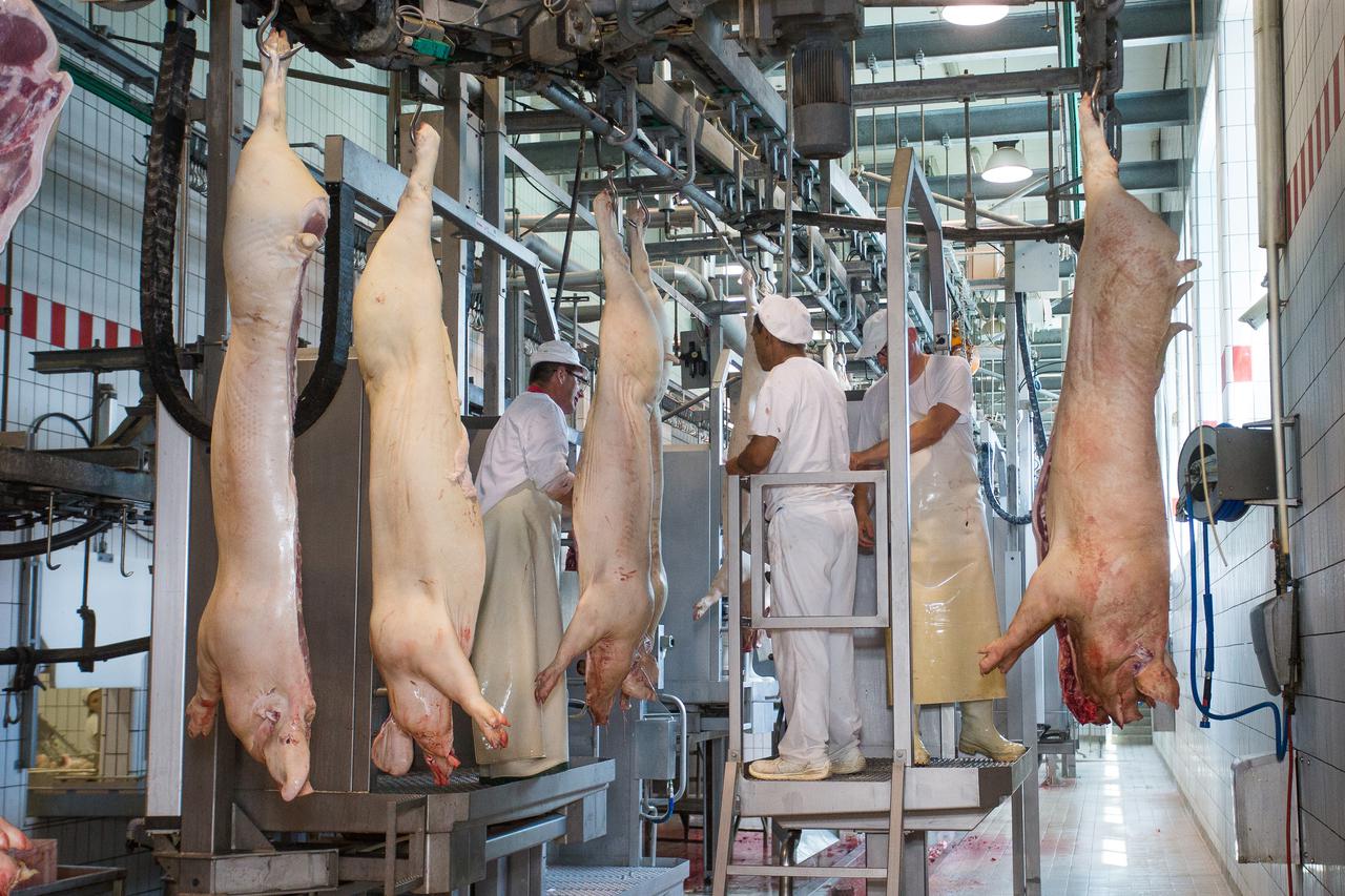 Osijek: Klaonica i proizvodni pogon Mesne industrije Ravlić