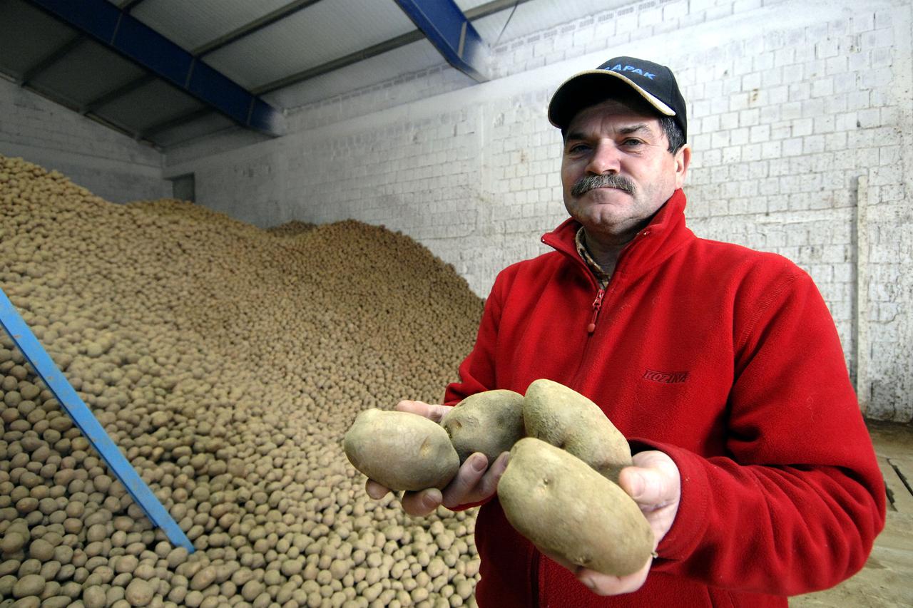 Andjelko Kozar iz Belice krumpir