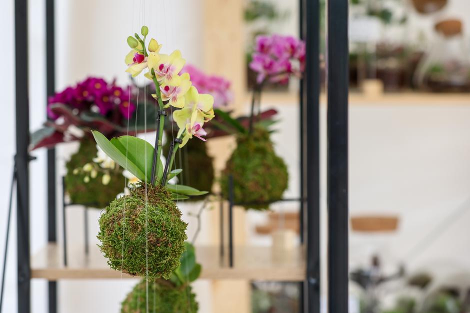 Zagreb: Uz jezero Bundek otvoren ovogodišnji FloraArt, međunarodna vrtna izložba