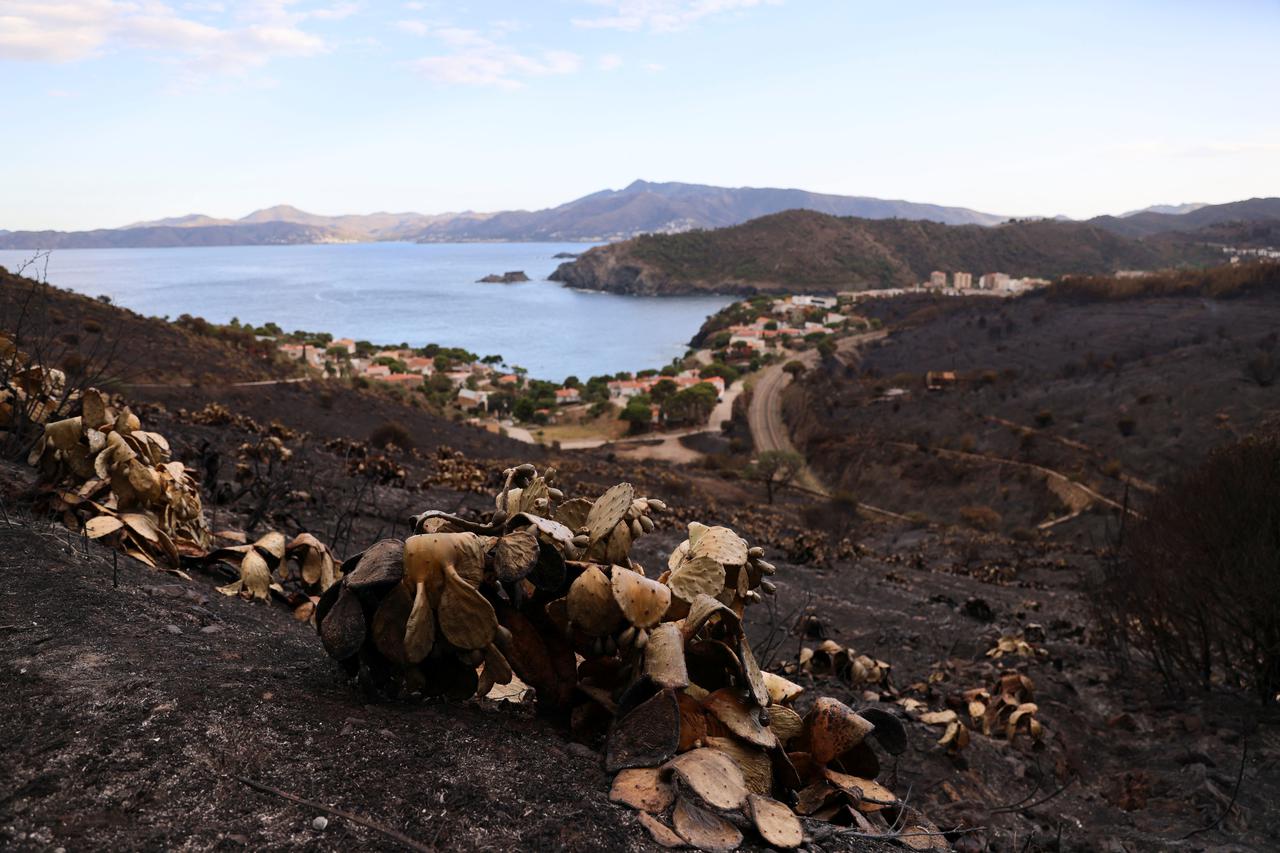 A view shows scorched lands after a wildfire on the Spanish-French border, near Colera