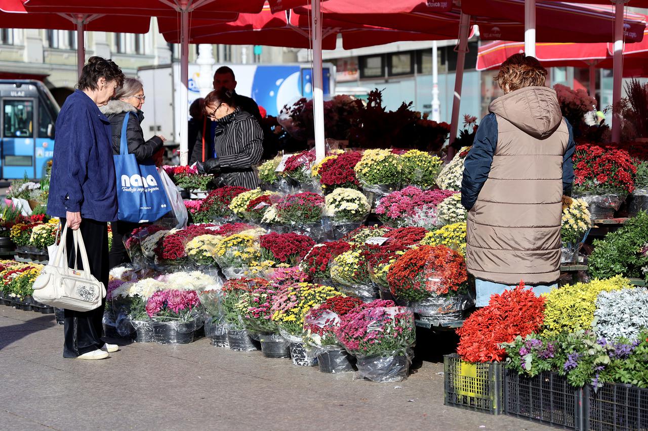 Zagreb: Bogata ponuda cvijeća za blagdan Svih svetih, multiflore već za 2 eura
