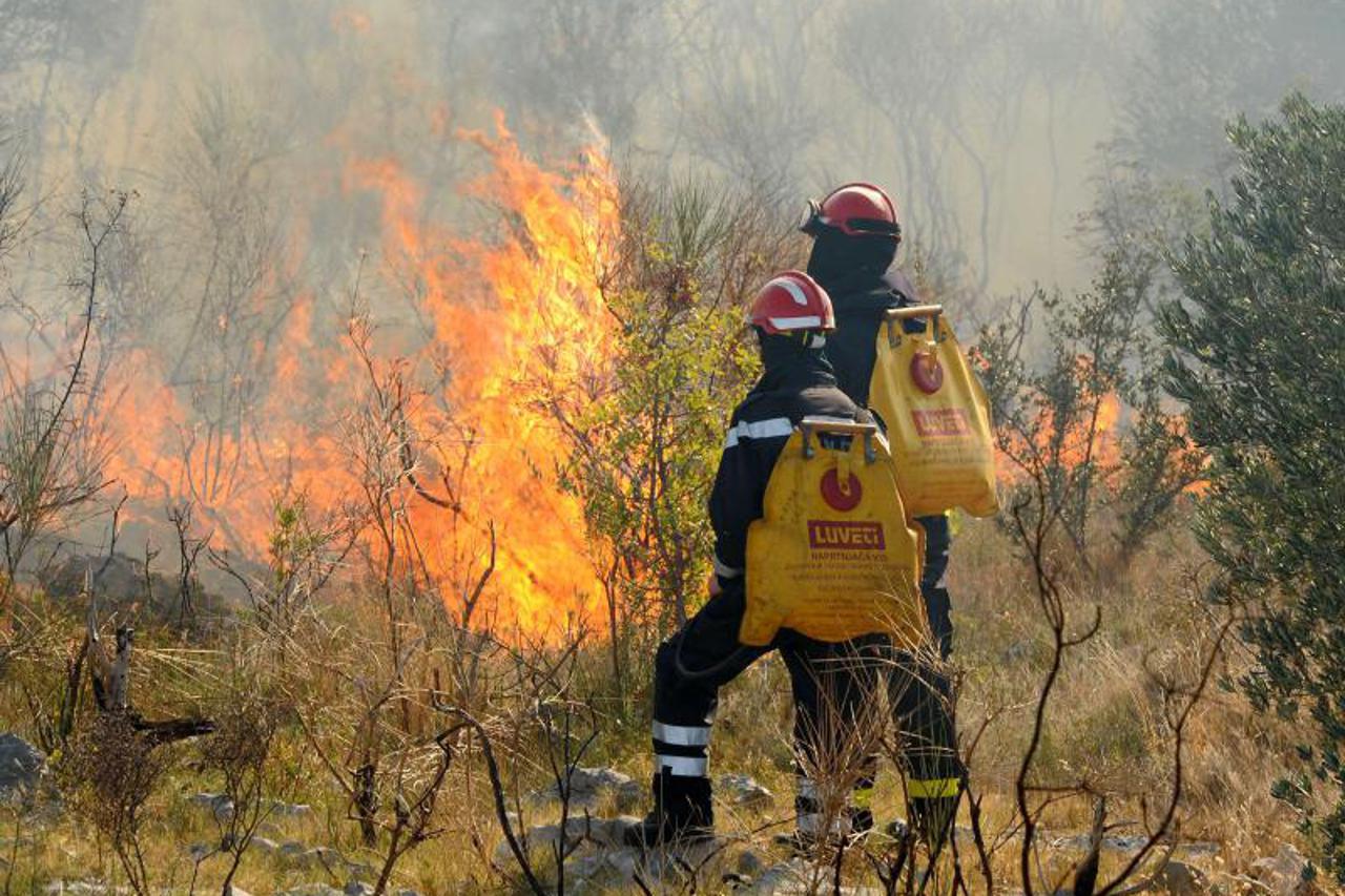 požar, vatrogasci, kanader (1)