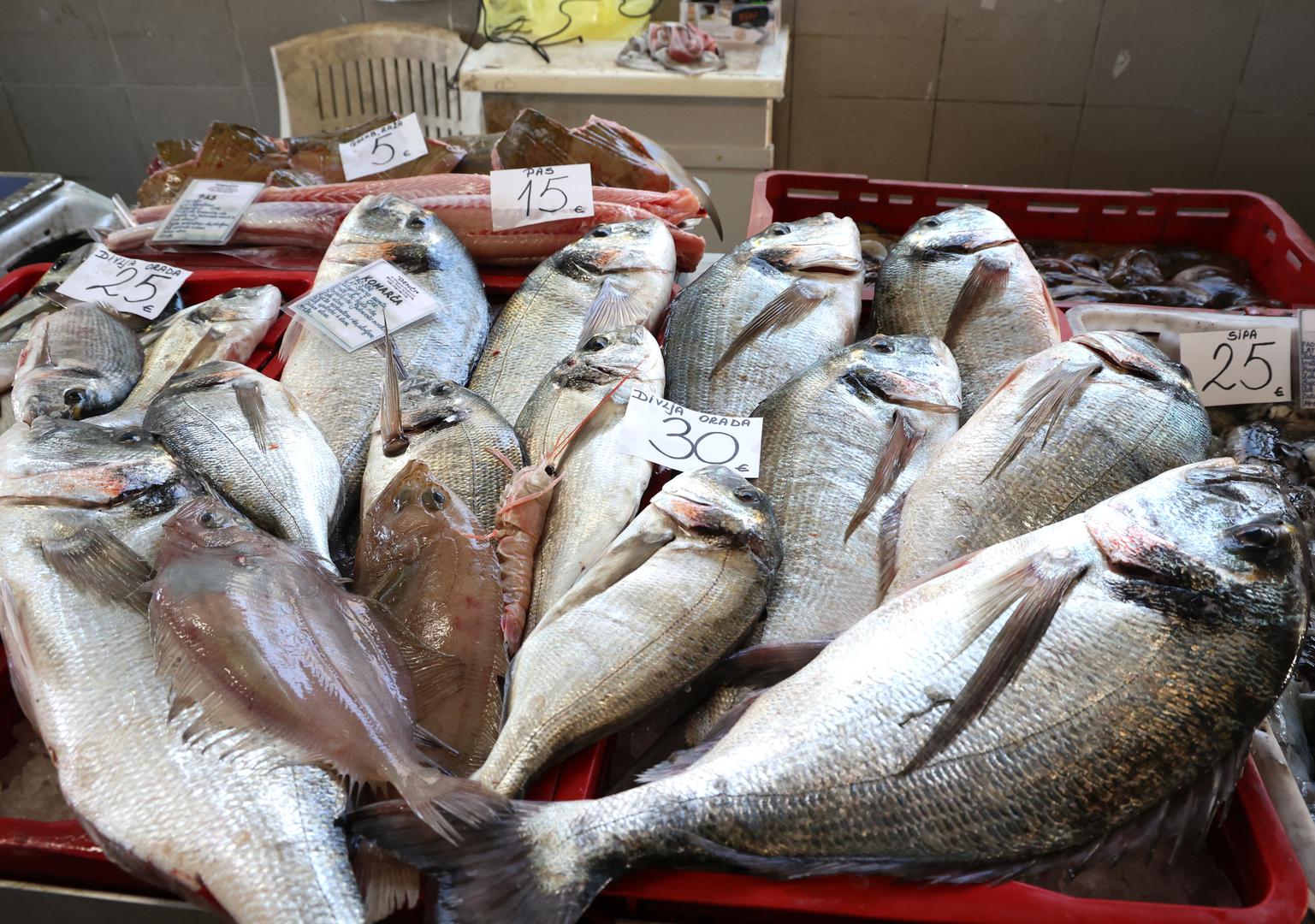 Na šibenskoj peškariji danas je prava gužva, a šarenilo riba, morskih plodova i miris mora očaravaju svakog posjetitelja. 