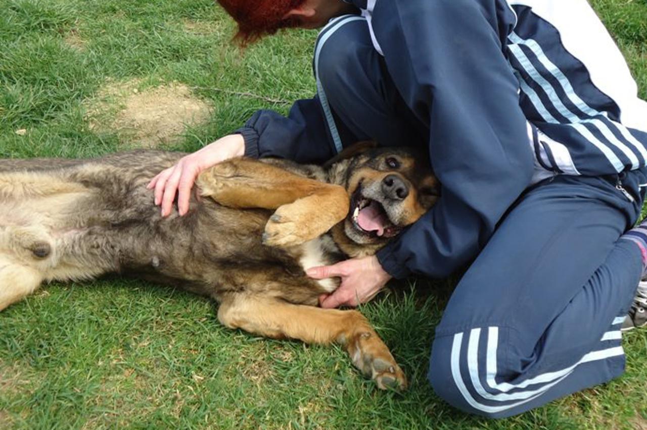 Rex