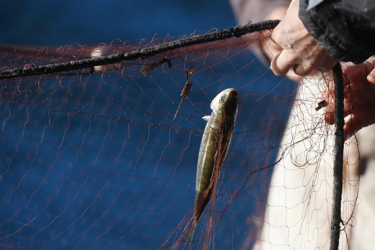 Grebaštica: Unato? buri ribari prazne svoje mreže