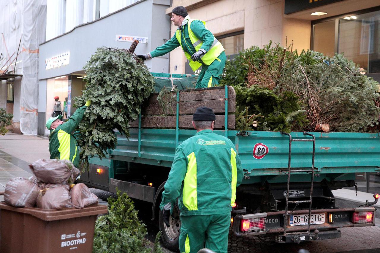 Zagreb: Radnici Zrinjevca prikupljaju odbačena božićna drvca