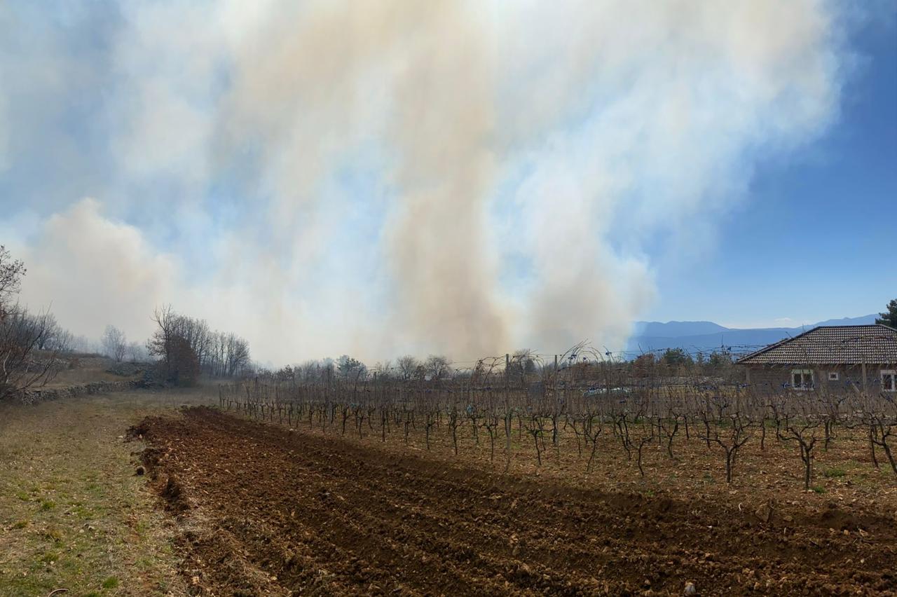 Požar u Vinjanima Donjim