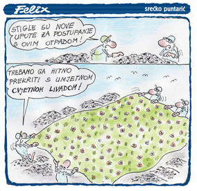 Felix 31.08.2026.