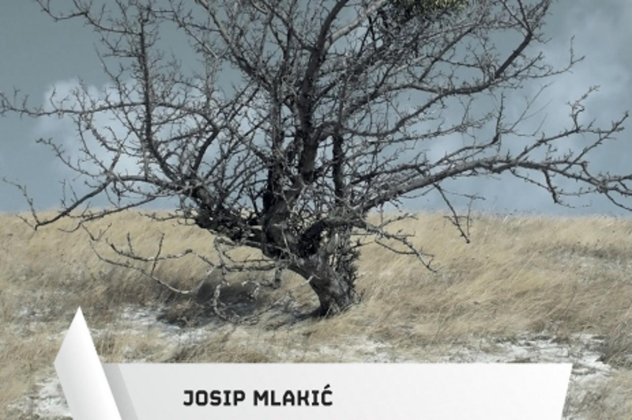 roman, Josip Mlakić, Planet Friedman 