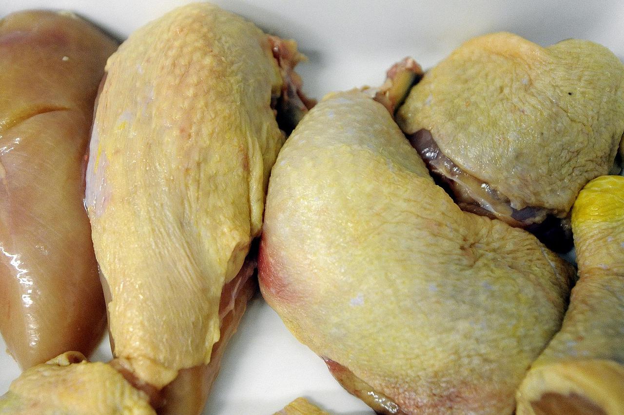 piletina