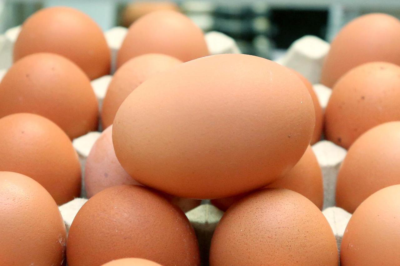 Pakovo Selo: Pove?ana proizvodnja konzumnih kokošjih jaja na farmi nesilica Kolarište