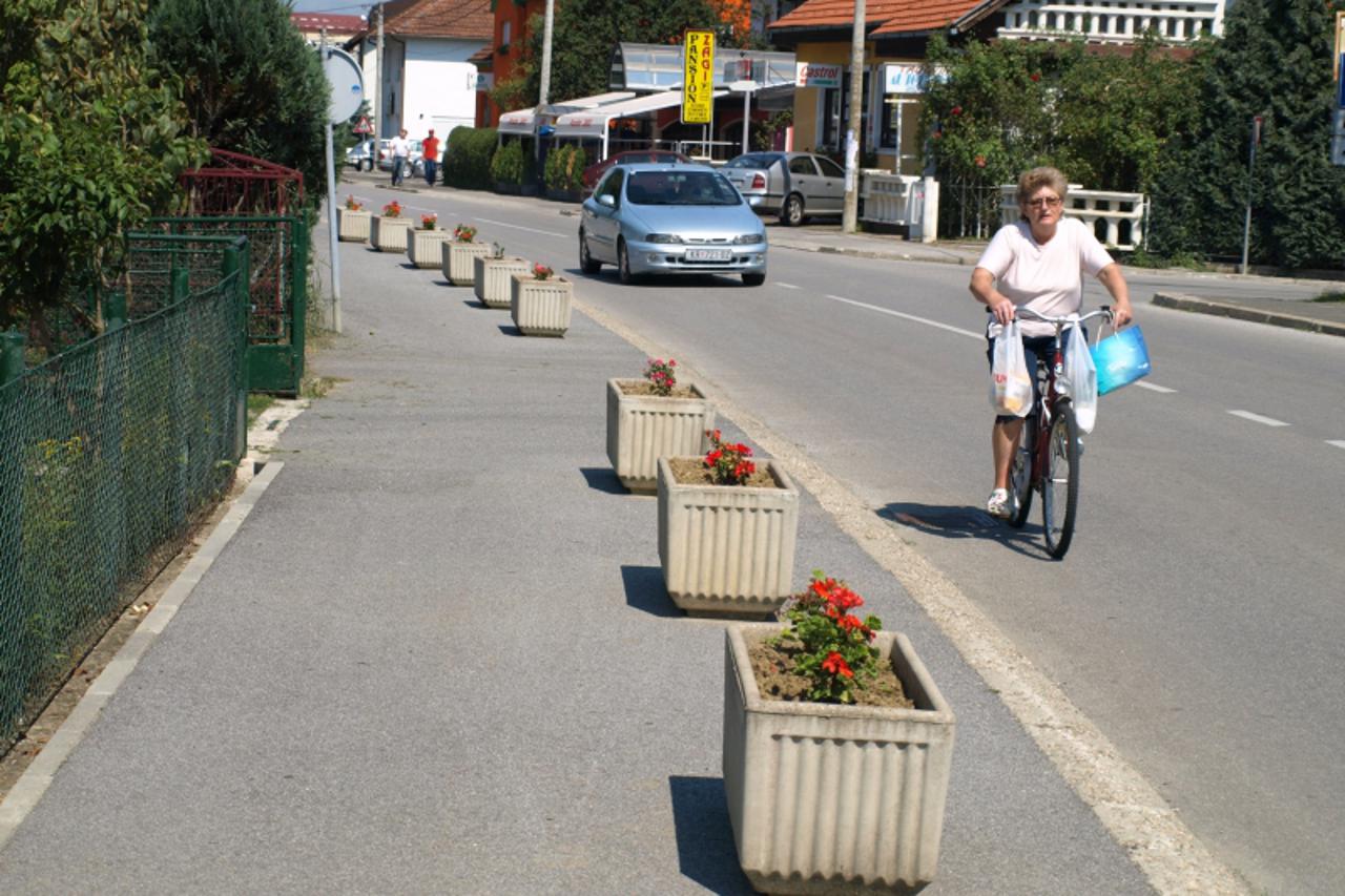 '11.08.2010. Oroslavje - Zardinjere nasred plocnika posvadale su gradane Oroslavja. Photo: Matija Topolovec/PIXSELL'