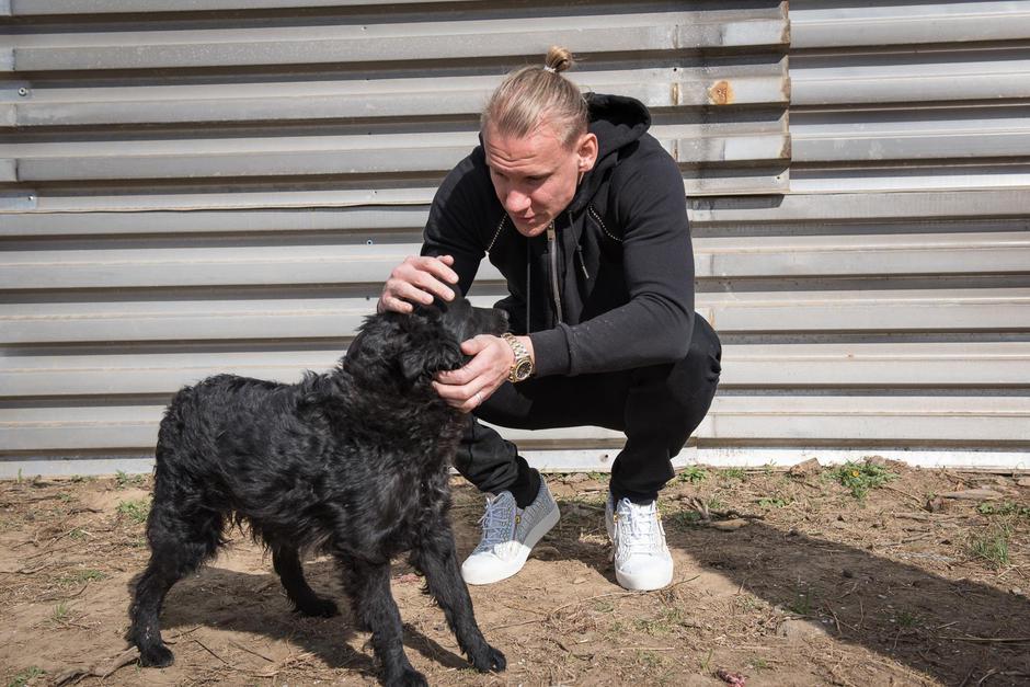 Domagoj Vida u azilu