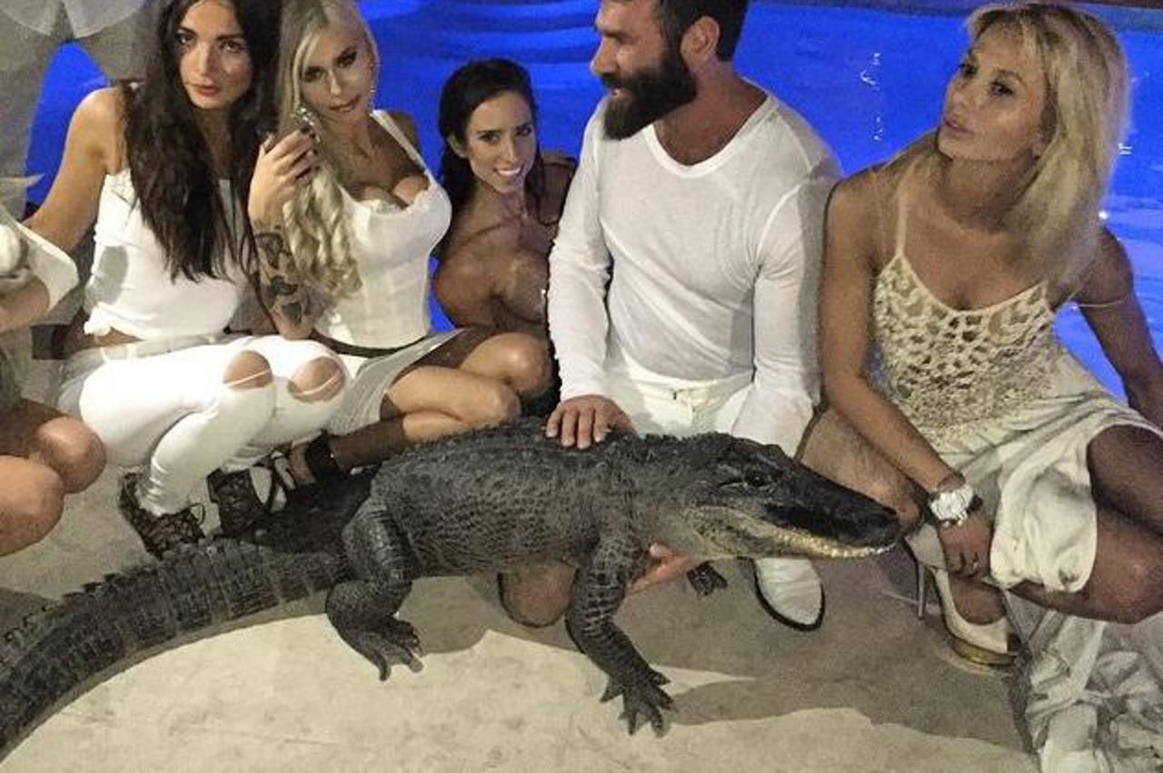 dan bilzerian