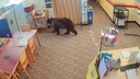 VIDEO Uhvaćen je! Nitko ne zna kako je uspio ući u knjižnicu