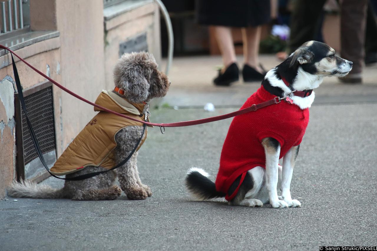 Zagreb: Pravo blagdansko raspoloženje zavladalo u centru grada