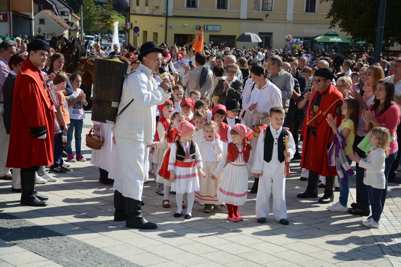 Branje grojzdja