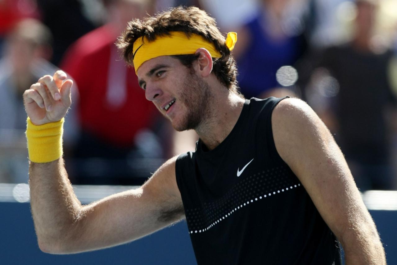 Juan Martin del Potro