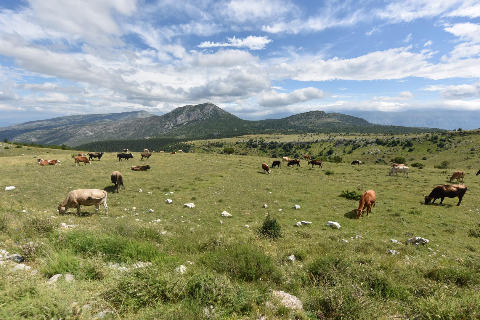 Kontrolama isplate mora biti obuhvaćeno najmanje 5% poljoprivrednika koji su podnijeli zahtjev za potporu