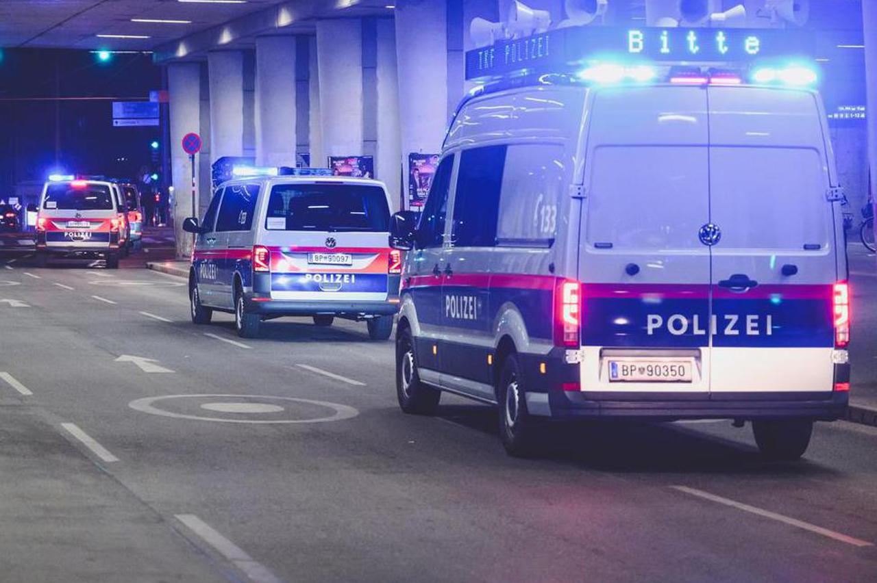 AUT, Demonstration gegen den Opernball in Wien