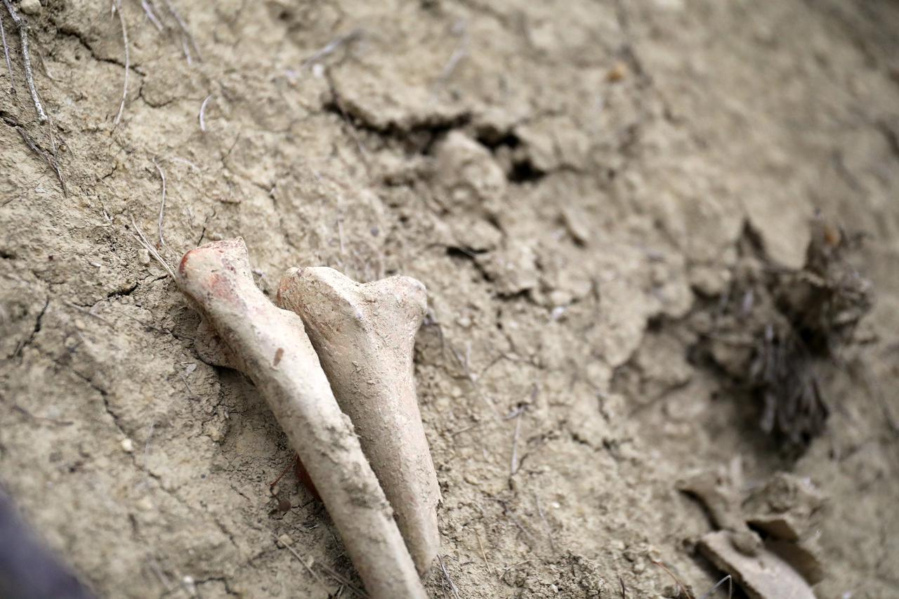 Uz cestu u Zagorju pronađene ljudske kosti