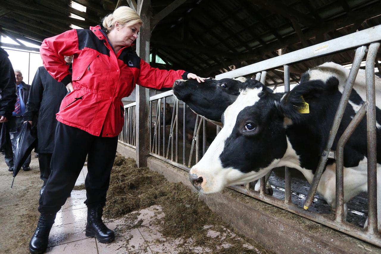 kolinda grabar kitarović