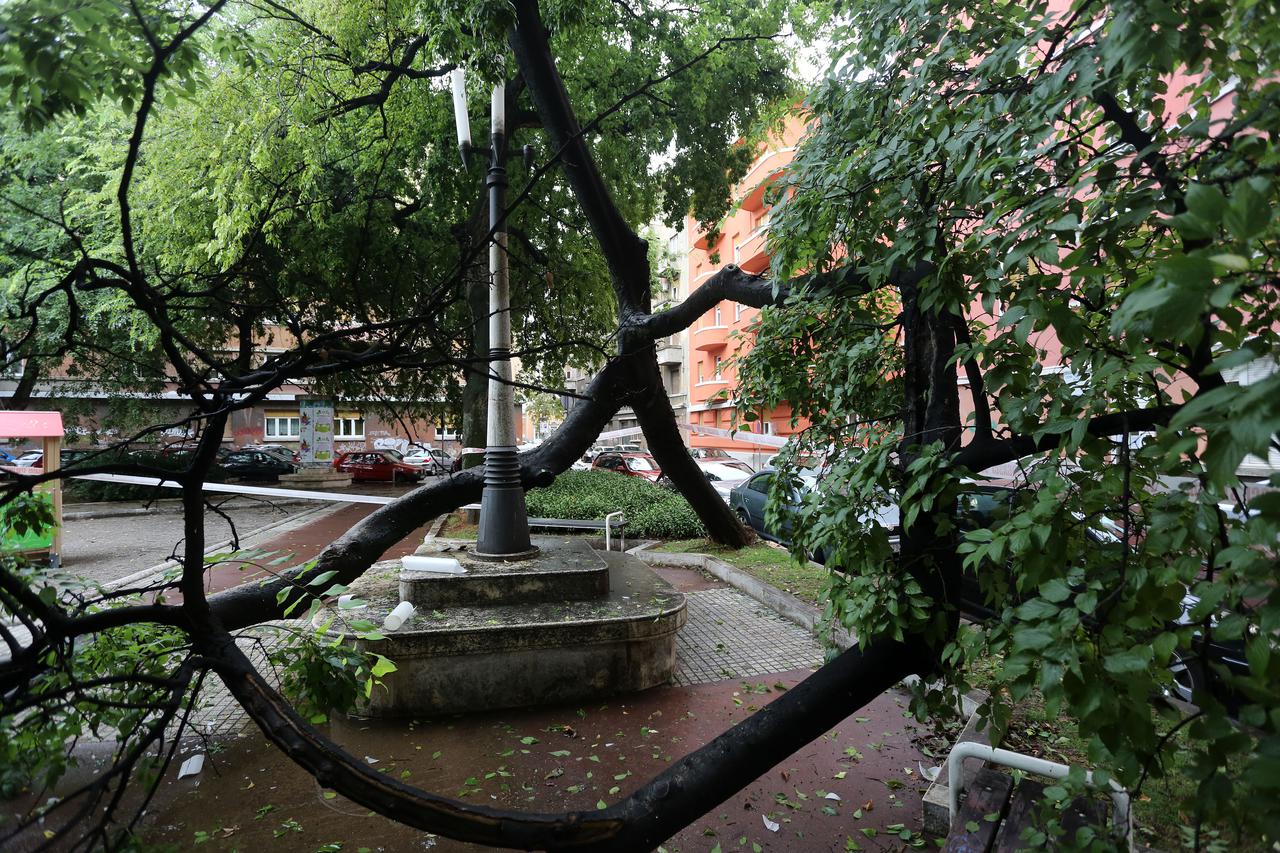 U centru Rijeke stablo se srušilo na dječje igralište