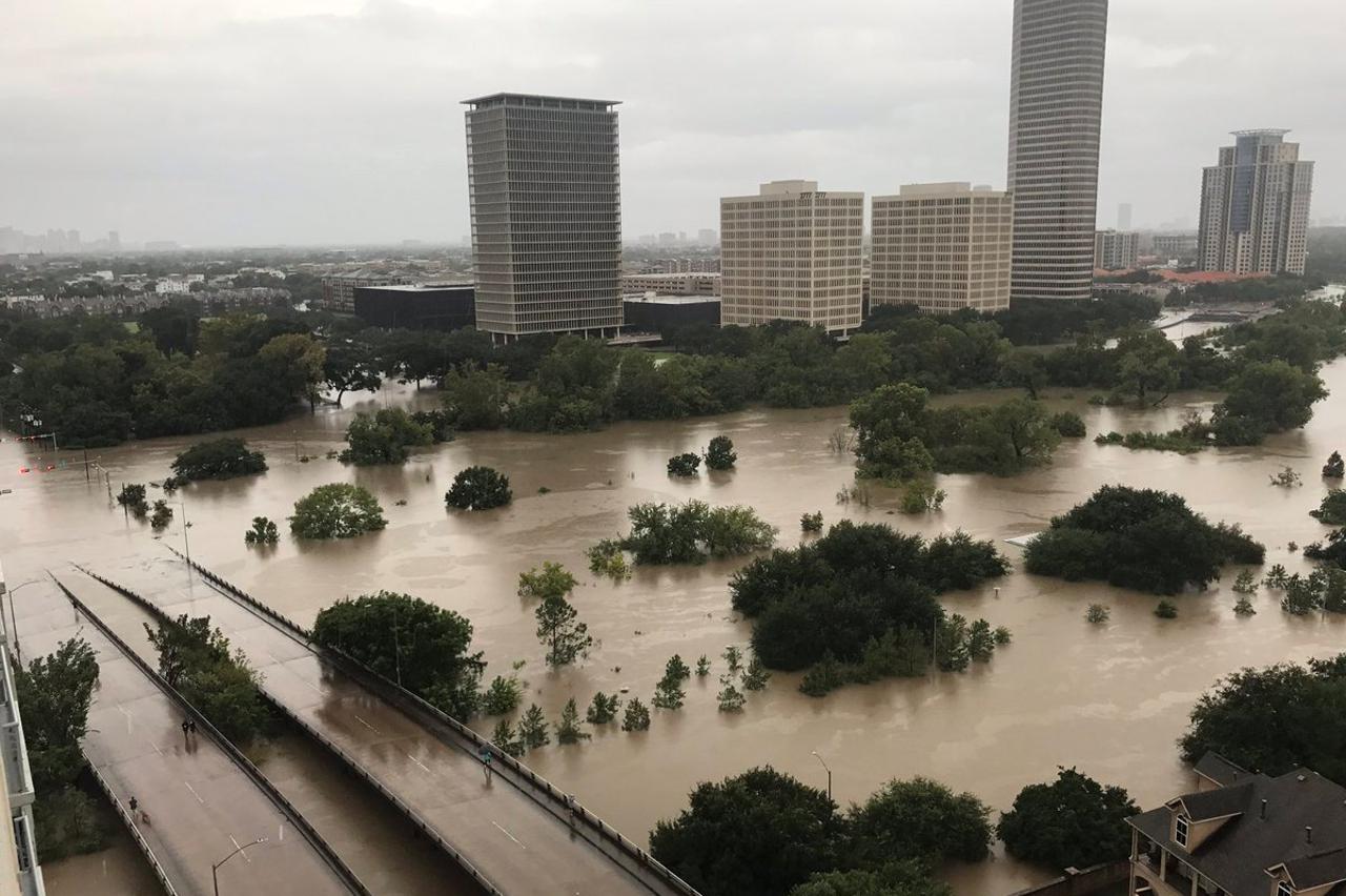 harvey