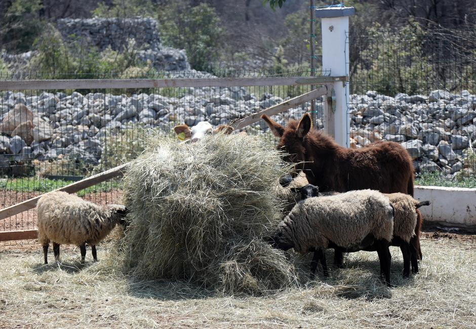 OPG Ranch4Me u Vodicama
