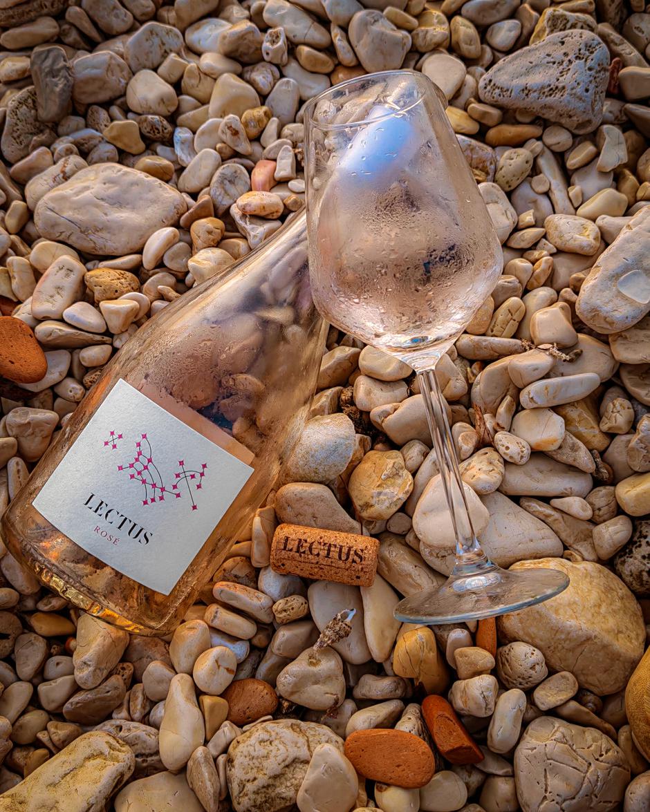 Lectus Rosé