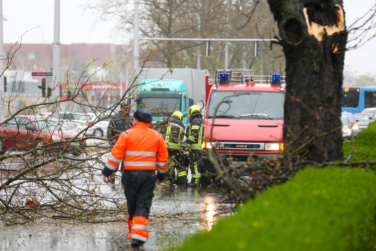 Zagreb: Zatvorena Vukovarska ulica  u smjeru zapada radi uklanjanja stabla