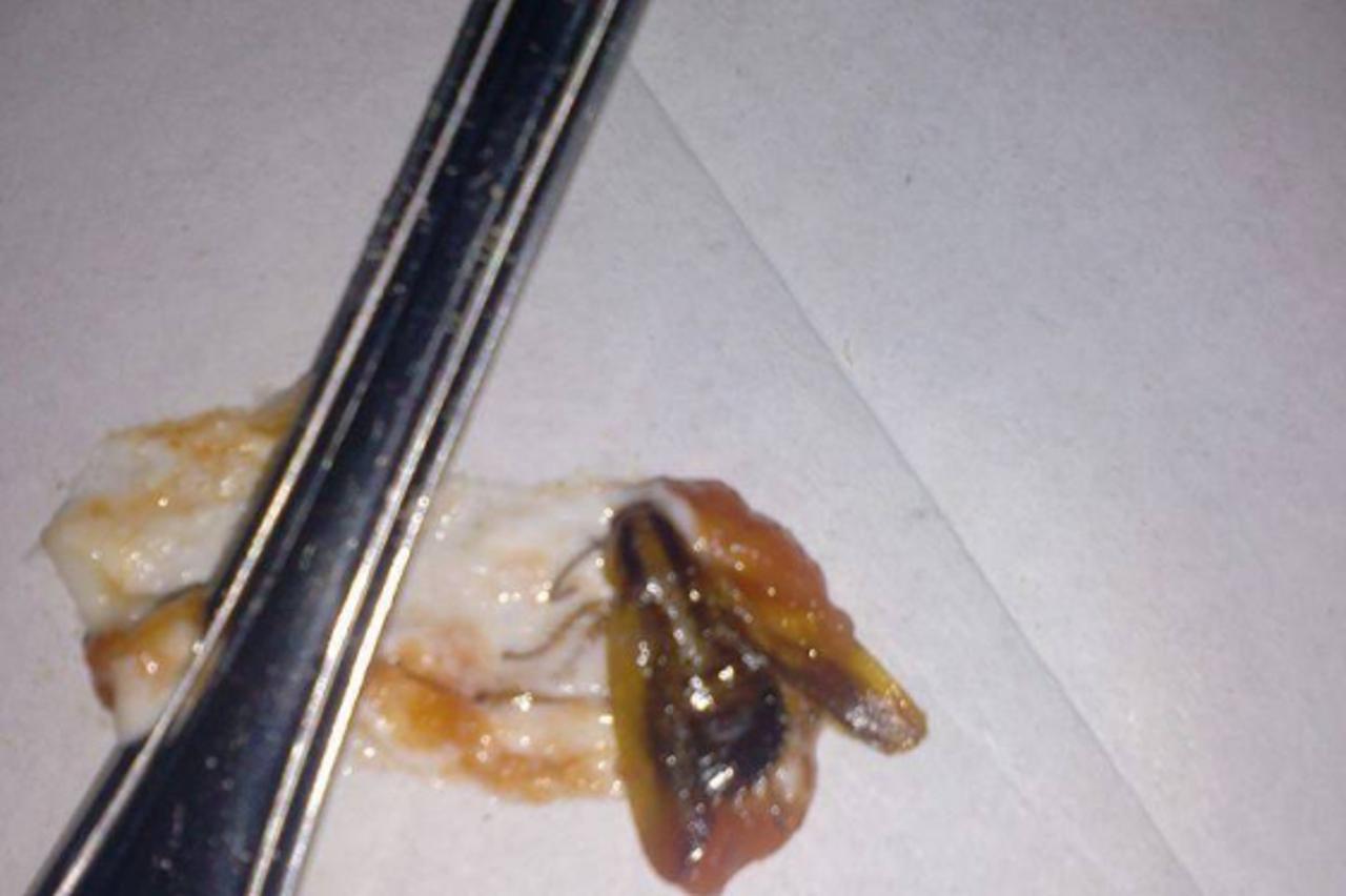 Studenti se žale na lošu hranu u menzama (1)