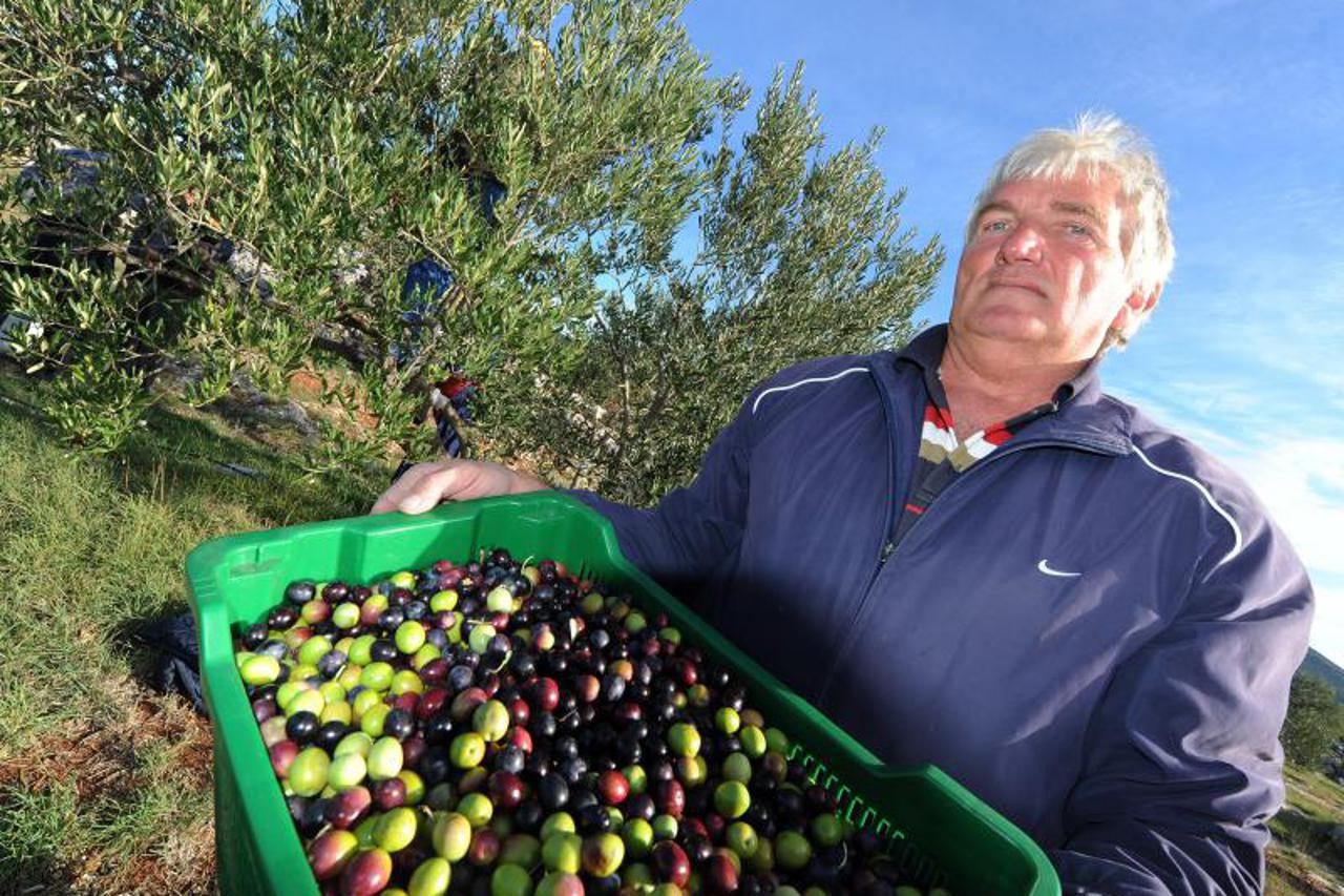 maslinari branitelji (1)