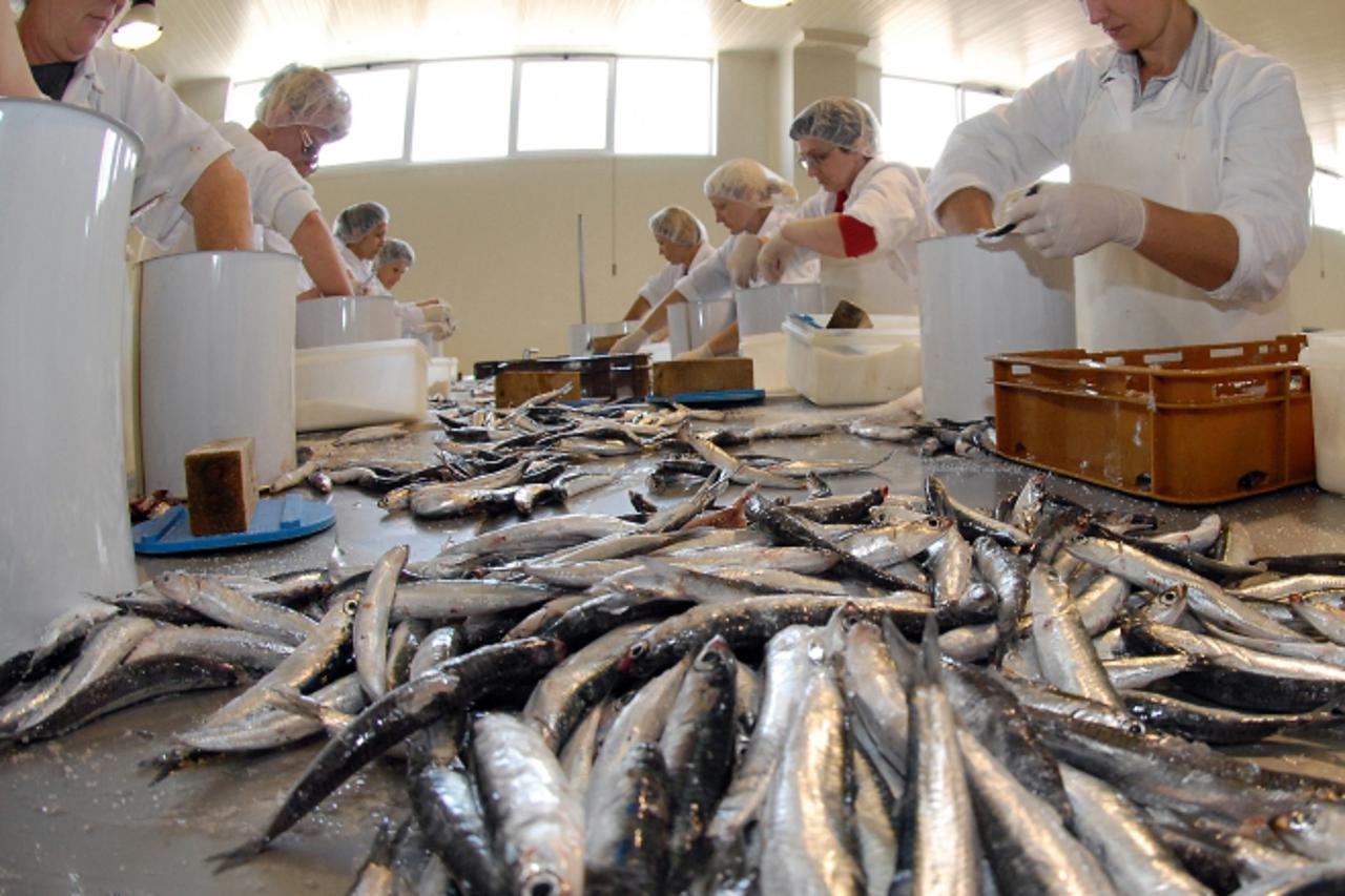 Radnice u preradi ribe