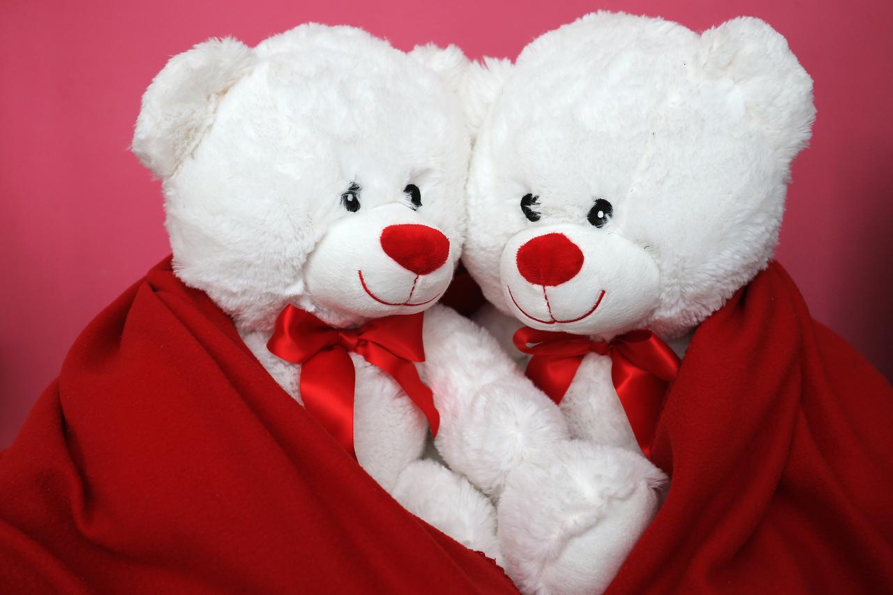 Plišani zaljubljeni medvjedi?i idealan su poklon za Dan zaljubljenih