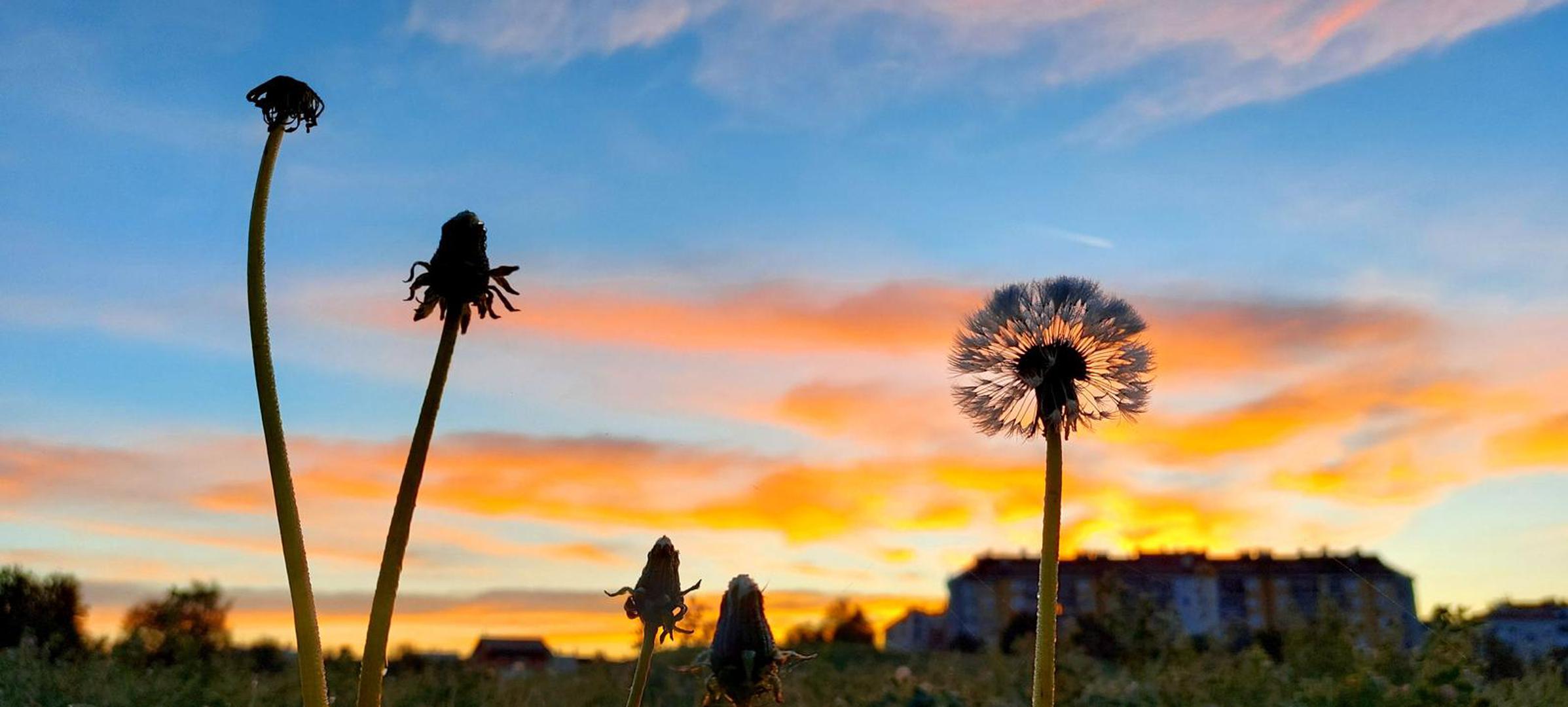 Nakon noći punog mjeseca, nad Zagrebom je jutros svanulo sunce. 