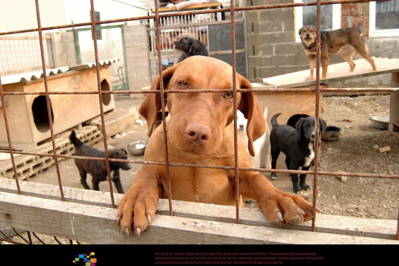 'psi2_nnn_zag_301110'