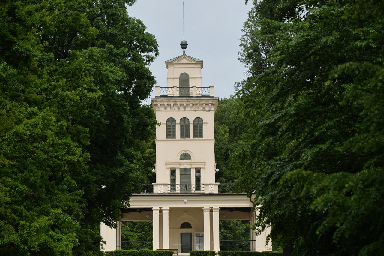 Maksimir
