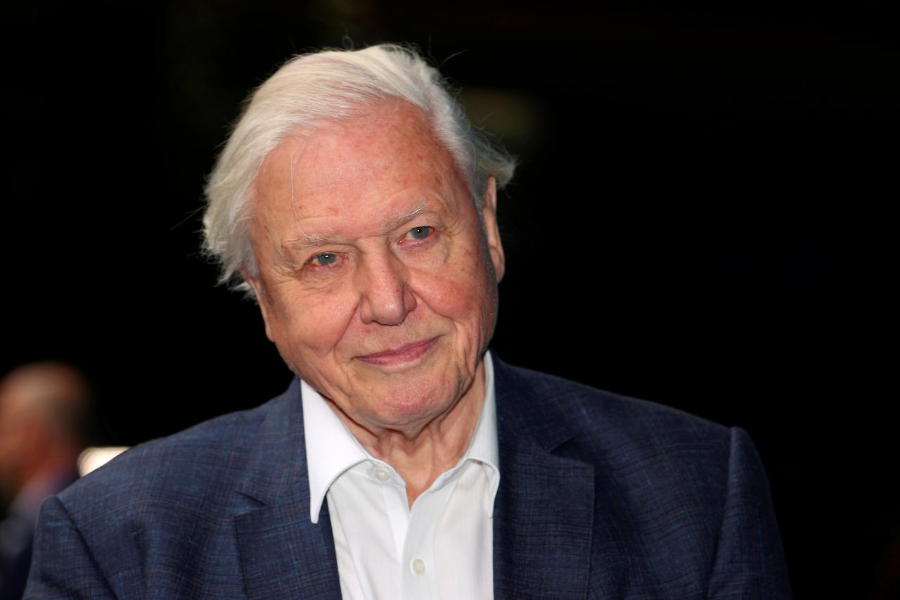 David Attenborough