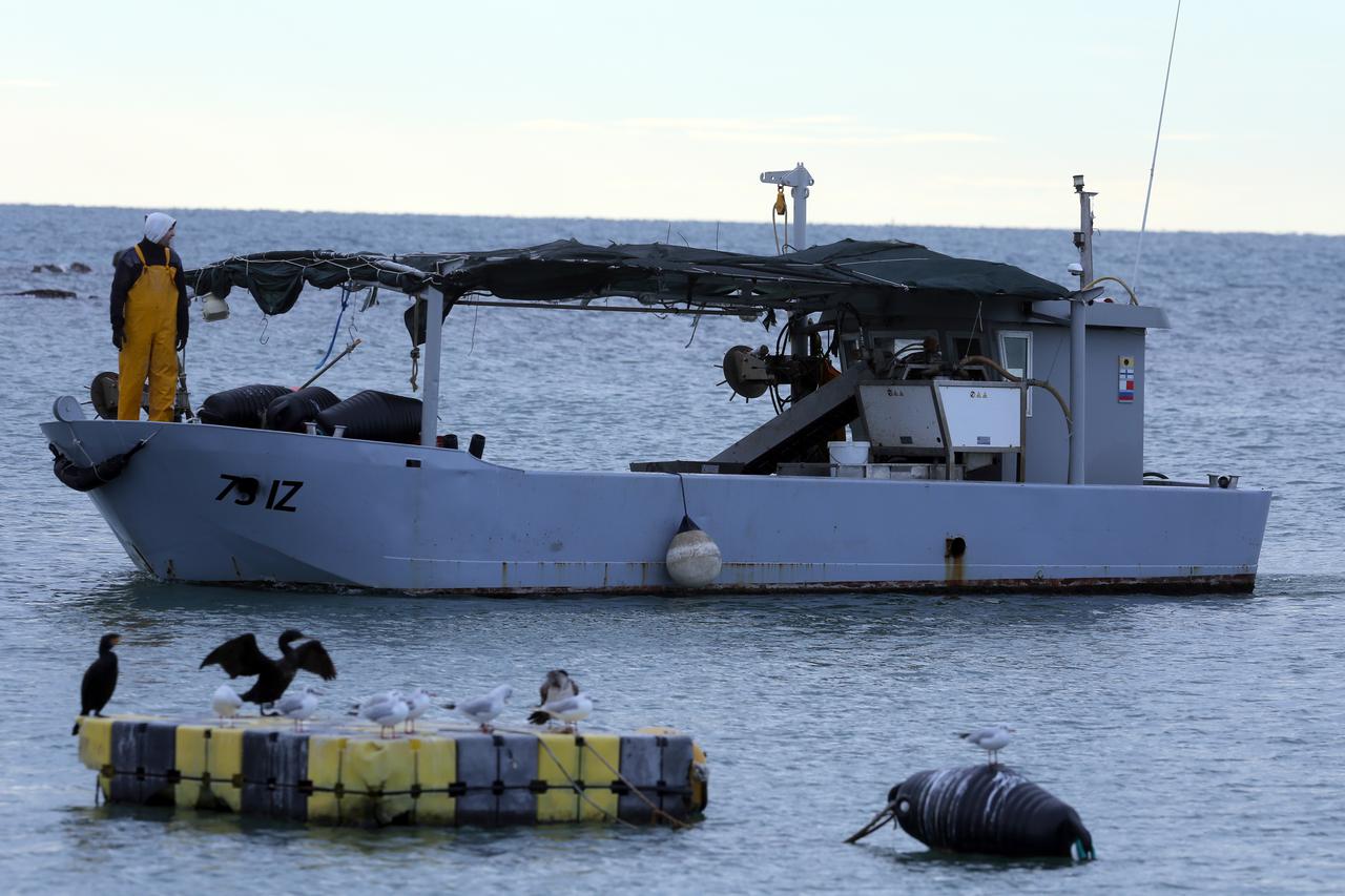 '03.03.2010., Sibenik - U prostorijama sibenske HVIDRE odrzana je tiskovna konferencija na kojoj je Petar Janjic-Tromblon obznanio da ce Udruga ratnika hrvatskog obrambenog rata i HVIDRA Sibenik pokre