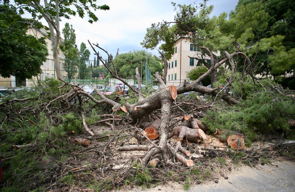 Stabla pala na automobile u Splitu