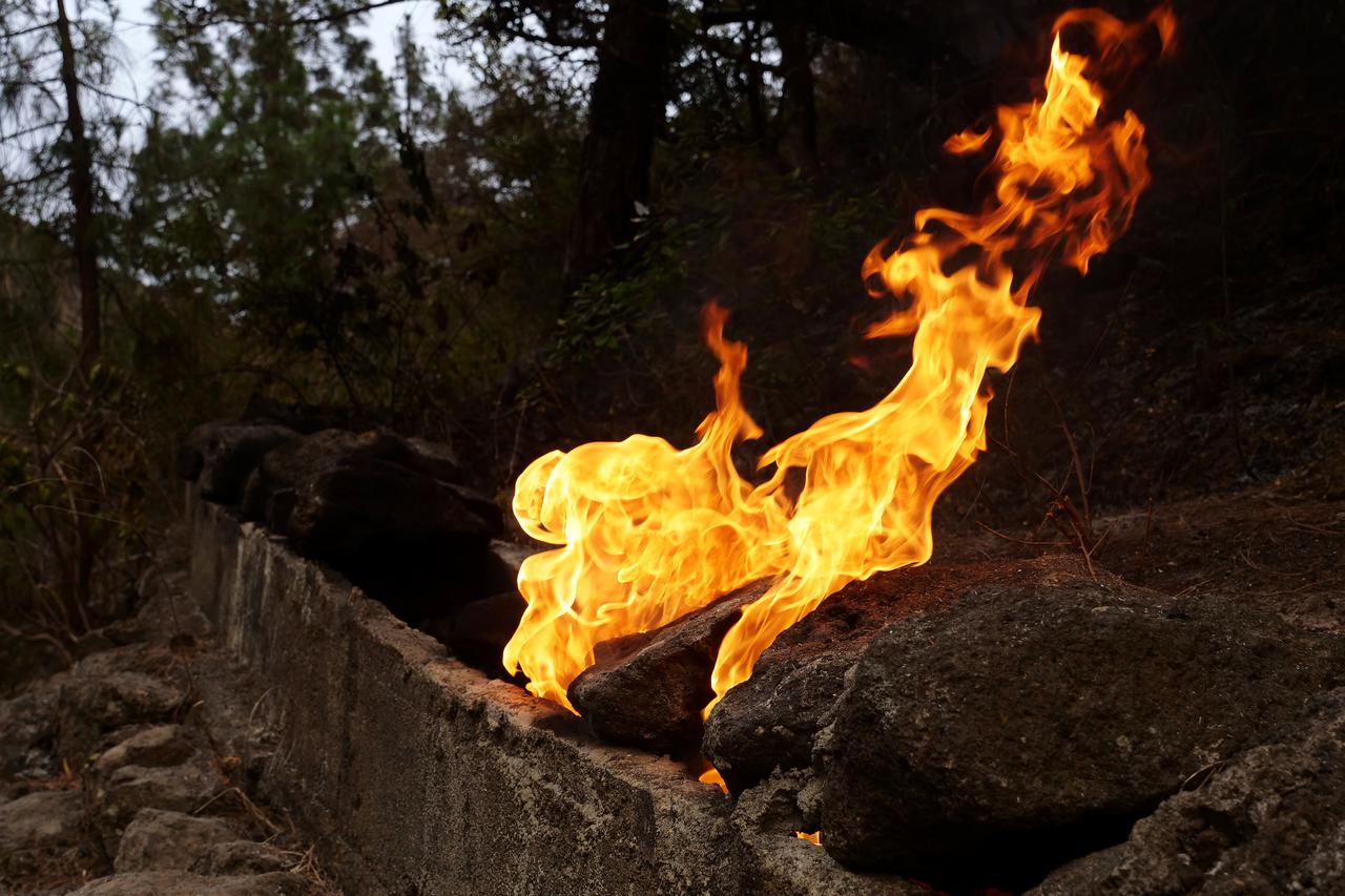 Tenerife forest fires