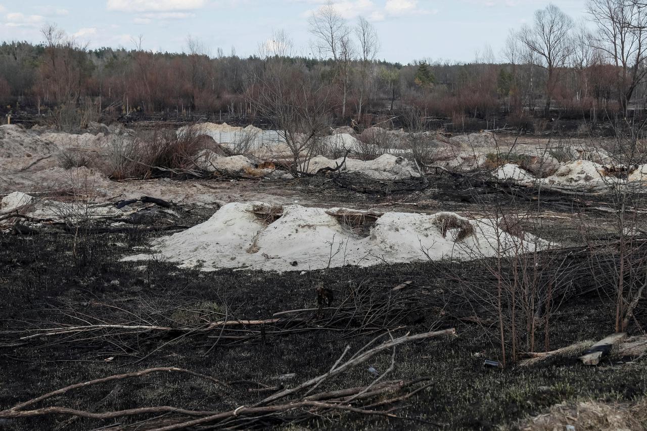 Trenches dug by the Russian military are seen in an area with high levels of radiation called the Red Forest near the Chernobyl Nuclear Power Plant, in Chernobyl