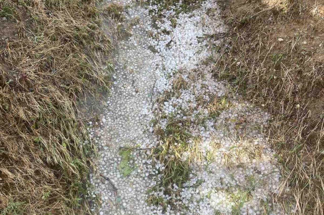 Tuča uništila vinograde i usjeve