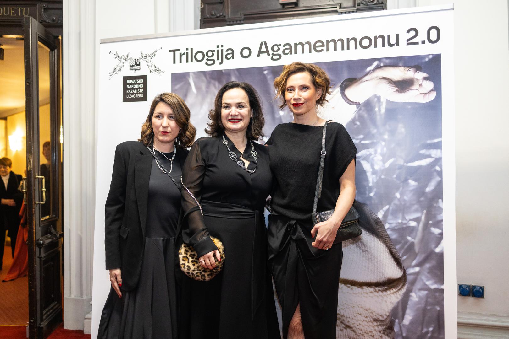 Temelji se na Eshilovoj trilogiji o Agamemnonu, no dramaturginja, redateljica i ostatak autorskog tima ovu su grčku tragediju smjestili u suvremeno doba