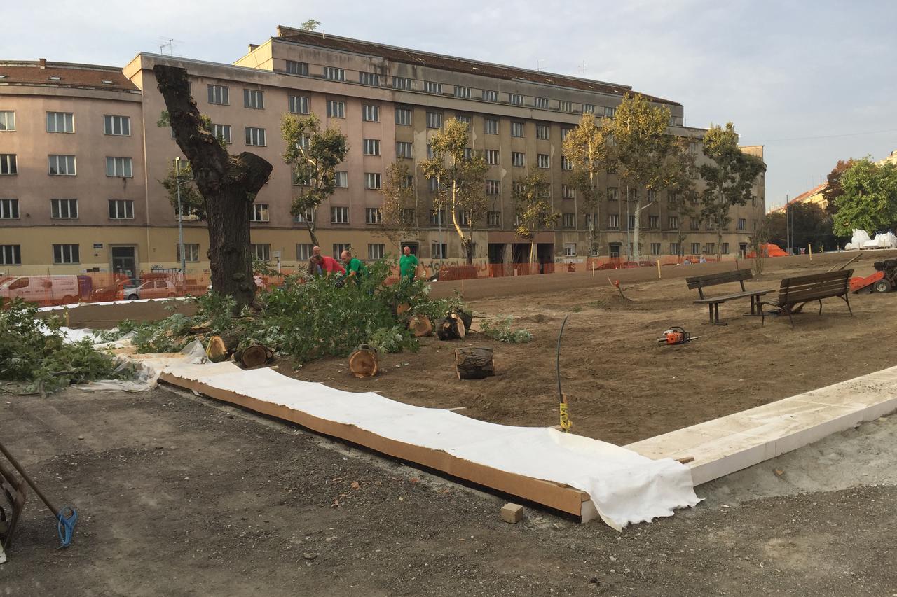 Rušenje stabla na Trgu žrtava fašizma