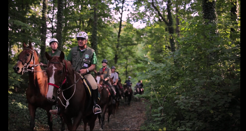 Upoznajte i istražite Bjelovarsko-bilogorski kraj na konju