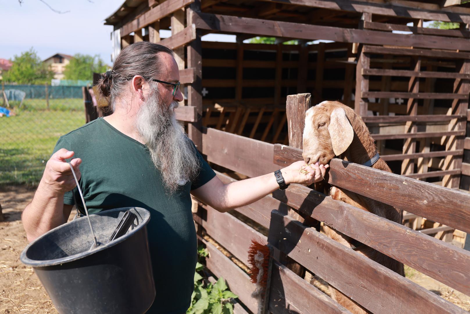 Danijel Antonović vlasnik je Duše Baranje, obiteljskog poljoprivrednog gospodarstva
u središtu Bilja u čijem dvorištu ima ovaca, koza, zečića, jarića, guski.