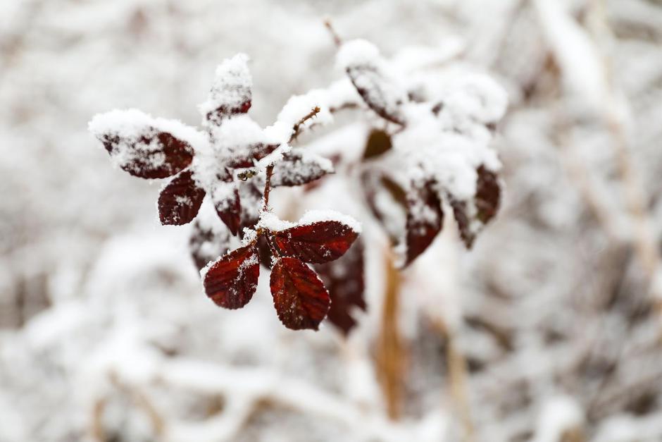 Zagreb: Grad se probudio pod bijelim pokrivačem