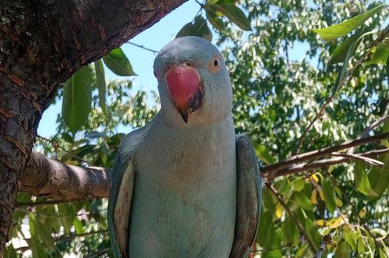 storyeditor/2023-06-08/333319797_3472945899697567_5983243570353607176_n.jpg
